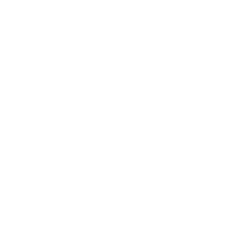 Wordpress Development